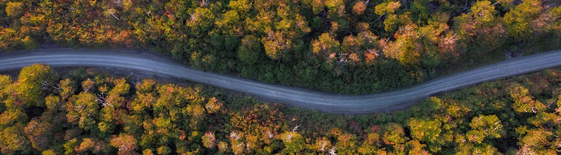 cknaqnmgd013z01oe4jd1d47a bfg header season all season 1440x400 max